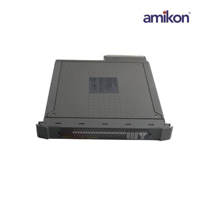 ICS Triplex T8431 وحدة الإدخال التناظرية ذات 40 قناة
    