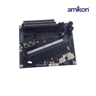 هانيويل 8C-TAIXA1 51307127-175 وحدة الإدخال التناظرية