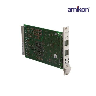 وحدة مراقبة السلامة هيما F6251